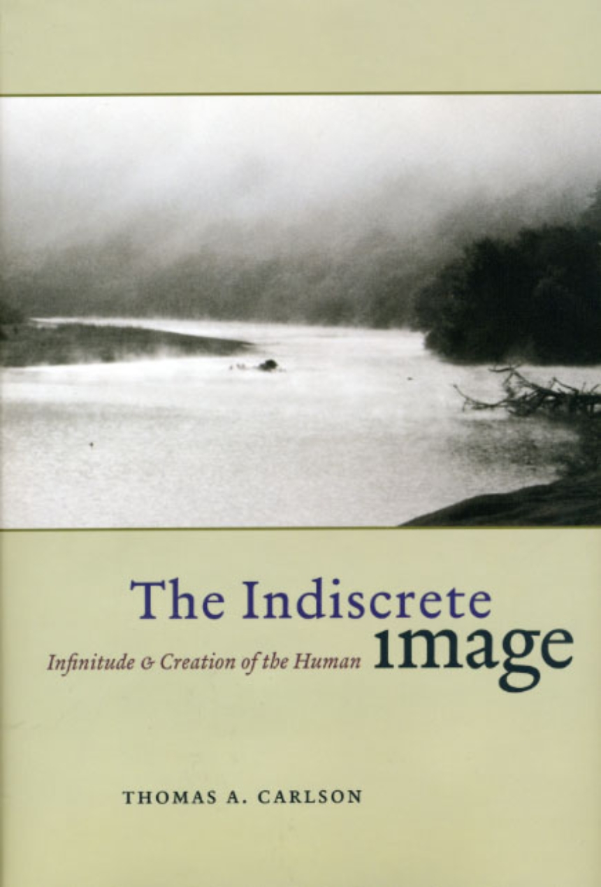 Cover of the Indiscrete Image